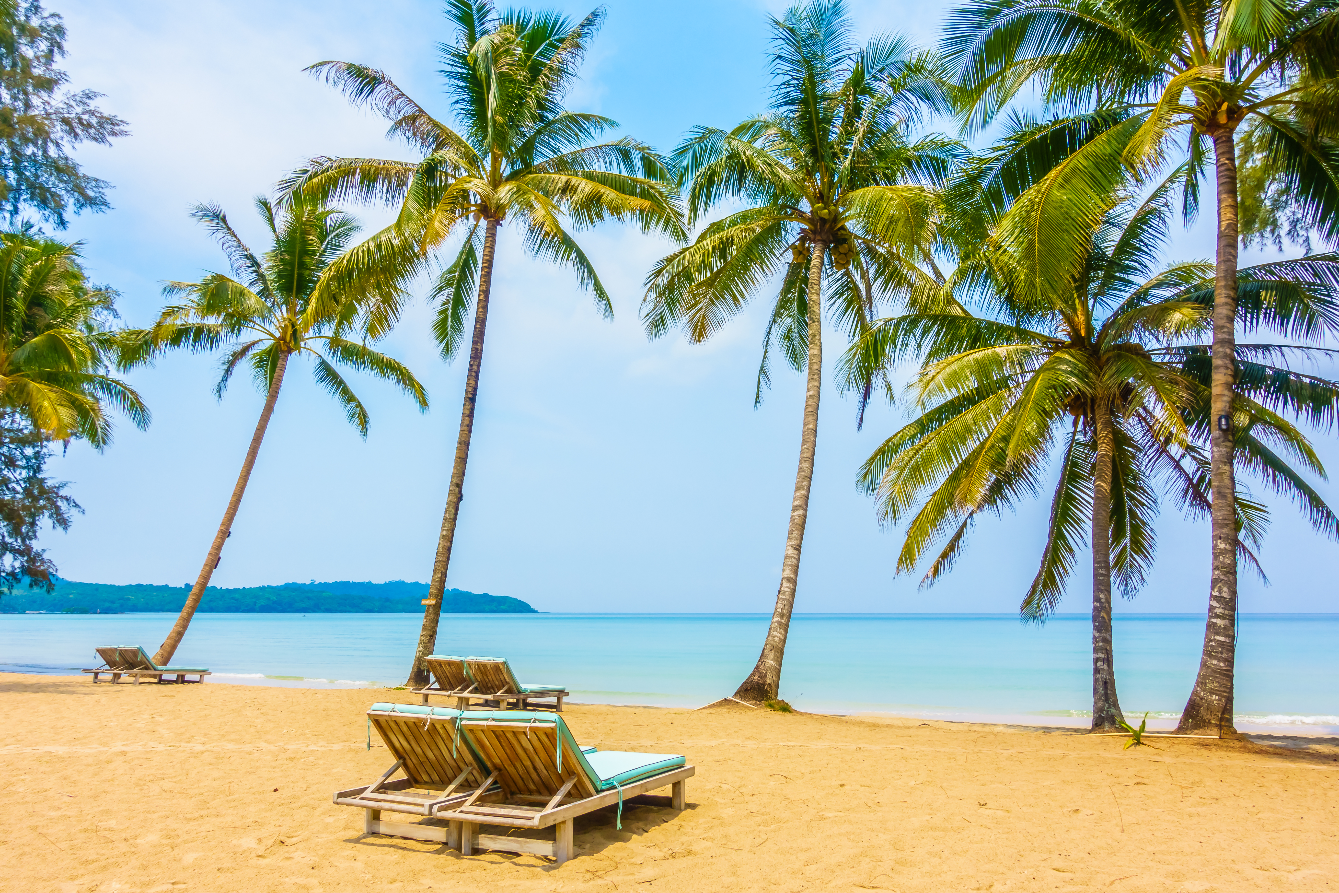 Beach Sea